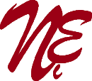 NEI Logo